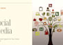 manage and grow your instagram and facebook organically